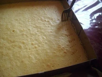 Rezept: Zitronenkuchen... Bild Nr. 12 Zitronenkuchen... - Rezept - Bild Nr. 12