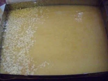 Rezept: Zitronenkuchen... Bild Nr. 14 Zitronenkuchen... - Rezept - Bild Nr. 14