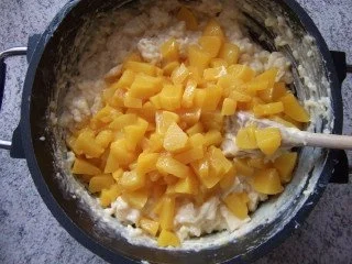 Apfel-Pfirsich Reisauflauf Dieter´s Art - Rezept - Bild Nr. 4