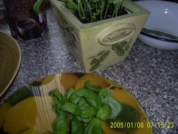 Rezept: Römisches Brot Bild Nr. 5 Römisches Brot - Rezept - Bild Nr. 5