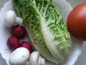 Rezept: Vorfrühlingssalat Mini Romana Bild Nr. 2 Vorfrühlingssalat Mini Romana - Rezept - Bild Nr. 2