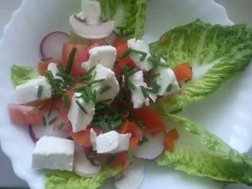 Rezept: Vorfrühlingssalat Mini Romana Bild Nr. 4 Vorfrühlingssalat Mini Romana - Rezept - Bild Nr. 4