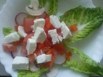 Rezept: Vorfrühlingssalat Mini Romana Bild Nr. 3 Vorfrühlingssalat Mini Romana - Rezept - Bild Nr. 3