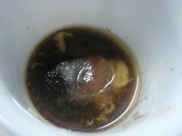 Rezept: Vorfrühlingssalat Mini Romana Bild Nr. 5 Vorfrühlingssalat Mini Romana - Rezept - Bild Nr. 5