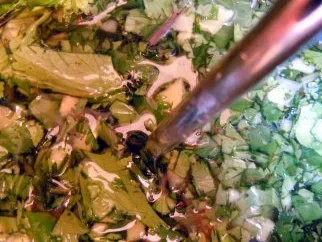 Rezept: Ananas-Carpaccio mit Koriander-Ingwer-Dressing Bild Nr. 5 Ananas-Carpaccio mit Koriander-Ingwer-Dressing - Rezept - Bild Nr. 5