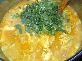 Chicken-Ananas-Curry - Rezept - Bild Nr. 9