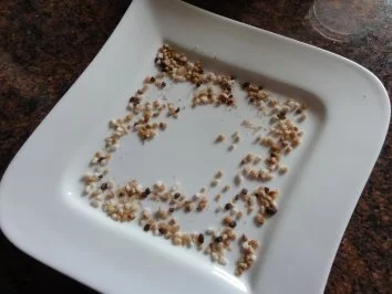 Dessert:  SCHOKOPUDDING mit frischer Ananas - Rezept - Bild Nr. 10