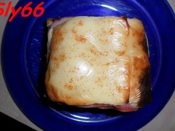 Toast:Schlemmer-Toast - Rezept - Bild Nr. 16