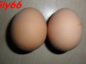 Toast:Schlemmer-Toast - Rezept - Bild Nr. 8