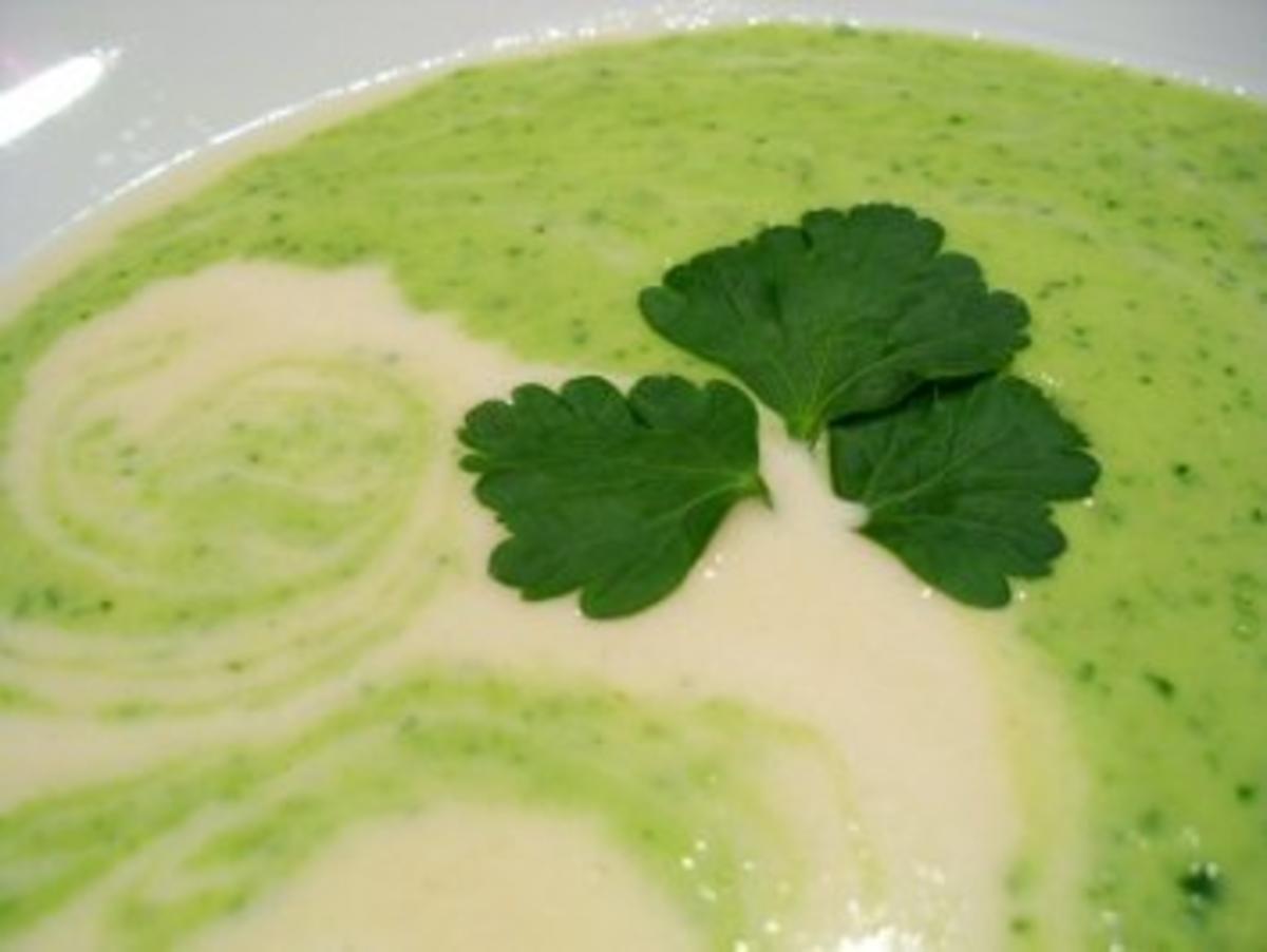 Suppe: Grün-weiße Petersilienwurzelcreme - Rezept - Bild Nr. 6