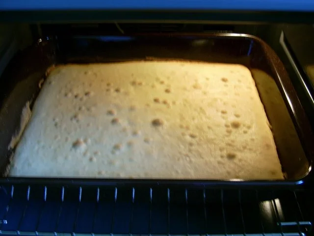 Rezept: Zitronenkuchen vom Blech Bild Nr. 3 Zitronenkuchen vom Blech - Rezept - Bild Nr. 3