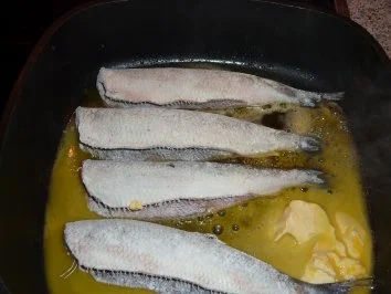 Fisch: Hering gebraten und eingelegt - Rezept - Bild Nr. 3