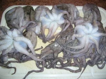 Rezept: Pulposalat Bild Nr. 3 Pulposalat - Rezept - Bild Nr. 3