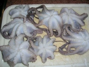 Rezept: Pulposalat Bild Nr. 4 Pulposalat - Rezept - Bild Nr. 4