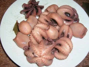 Rezept: Pulposalat Bild Nr. 6 Pulposalat - Rezept - Bild Nr. 6