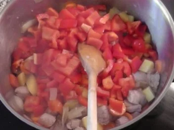 Rezept: feuriger Gulasch-Kessel Bild Nr. 8 feuriger Gulasch-Kessel - Rezept - Bild Nr. 8