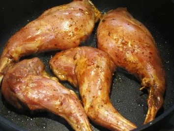 Kaninchen - deftig mariniert ... - Rezept - Bild Nr. 4