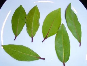 Praktisches: Schokoblätter - Rezept - Bild Nr. 3