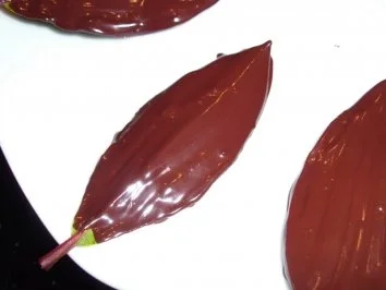 Praktisches: Schokoblätter - Rezept - Bild Nr. 4