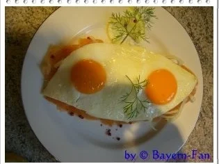 Rezept: Lachs - Max Lachs - Max - Rezept