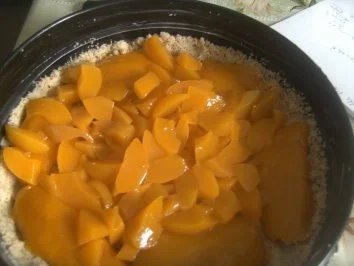 Rezept: Pfirsich - Torte ((warm ein Genuß,)) aber auch kalt sehr lecker Bild Nr. 6 Pfirsich - Torte ((warm ein Genuß,)) aber auch kalt sehr lecker - Rezept - Bild Nr. 6