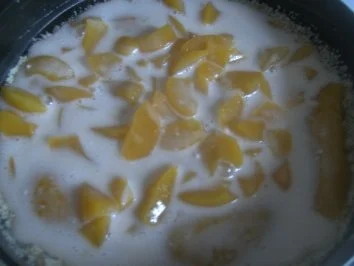 Rezept: Pfirsich - Torte ((warm ein Genuß,)) aber auch kalt sehr lecker Bild Nr. 8 Pfirsich - Torte ((warm ein Genuß,)) aber auch kalt sehr lecker - Rezept - Bild Nr. 8