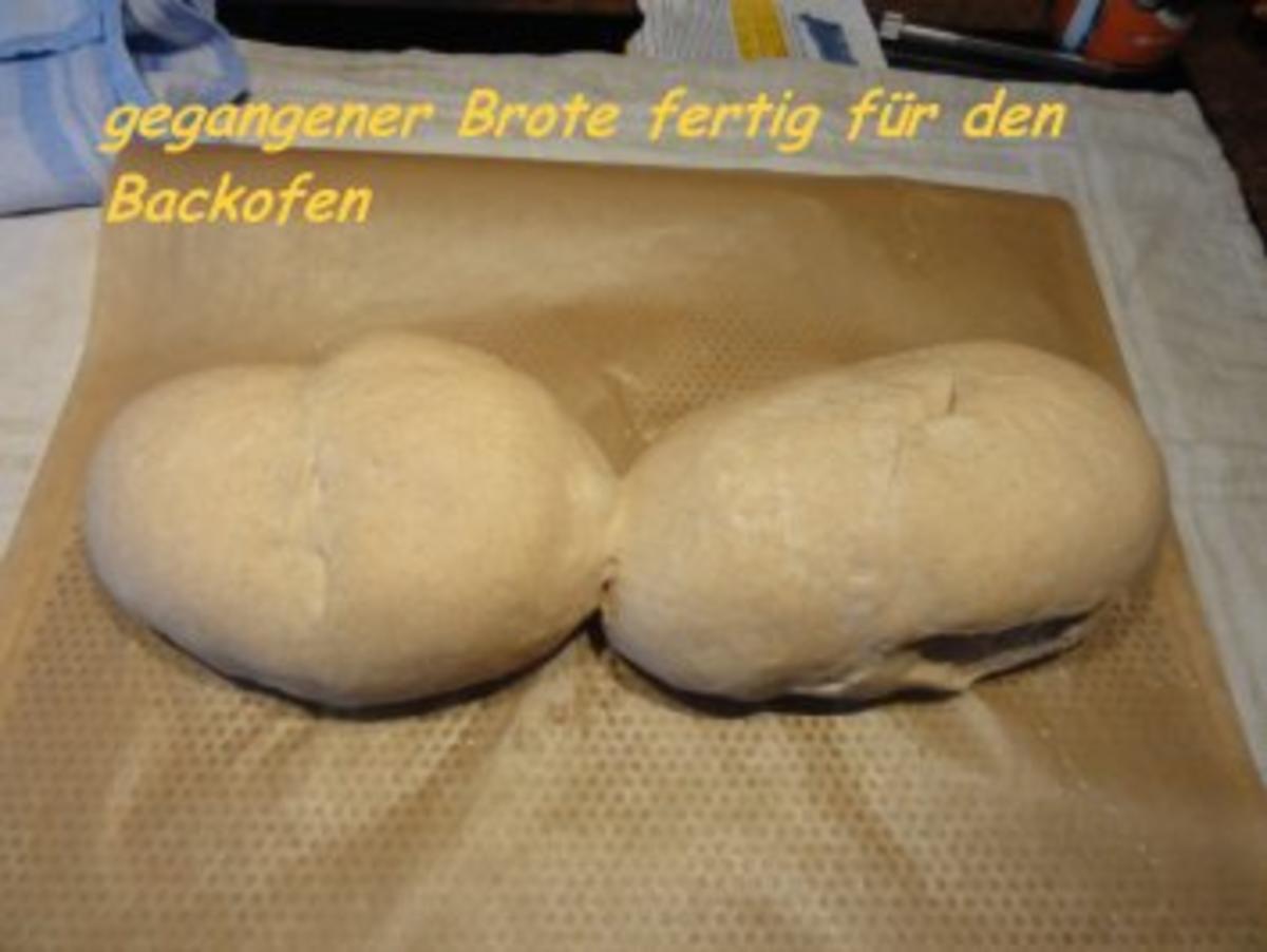 Brot:  BASLER BROT - Rezept - Bild Nr. 13