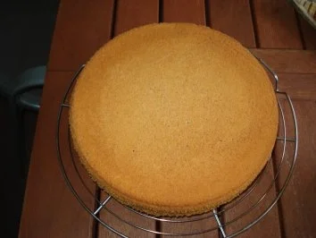 Rezept: Biscuitteig für zweistöckige Torten Bild Nr. 5 Biscuitteig für zweistöckige Torten - Rezept - Bild Nr. 5