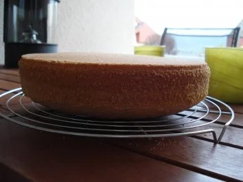 Rezept: Biscuitteig für zweistöckige Torten Bild Nr. 6 Biscuitteig für zweistöckige Torten - Rezept - Bild Nr. 6