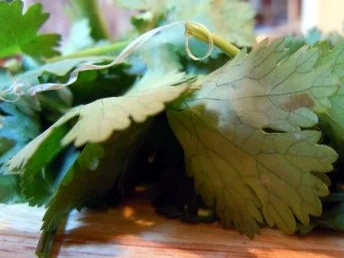 Tigermilch - Rezept - Bild Nr. 3