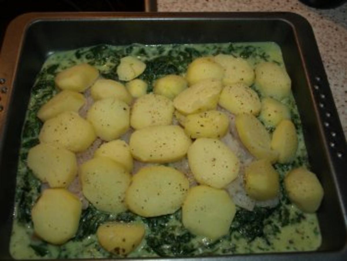 Dorsch im Spinatbett mit Kartoffeldecke - Rezept - Bild Nr. 9