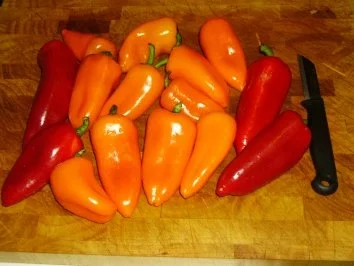 Kleine Paprika gefüllt mit Käsecreme - Rezept - Bild Nr. 2