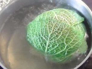 Rezept: Wirsingkohl-Auflauf Bild Nr. 3 Wirsingkohl-Auflauf - Rezept - Bild Nr. 3