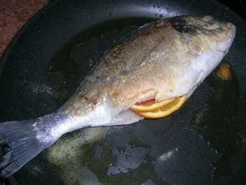 gebratene Dorade mit Oliven, Orangen, Petersiliensauce - Rezept - Bild Nr. 5