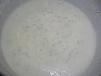 gebratene Dorade mit Oliven, Orangen, Petersiliensauce - Rezept - Bild Nr. 7