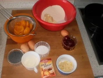 Aprikosen-Mohnbiskuit - Rezept - Bild Nr. 2