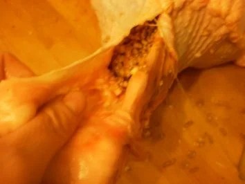 Pute nach griechischer Art - Rezept - Bild Nr. 9