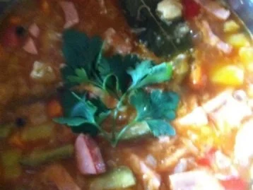 Eintöpfe: Soljanka - Rezept - Bild Nr. 5