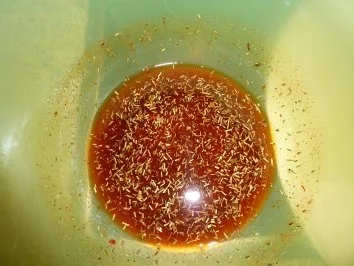 Fisch: Gyros - Rezept - Bild Nr. 2