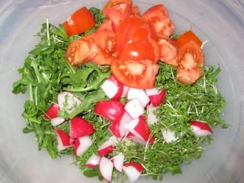 Frühlingssalat mit Putenbällchen... - Rezept