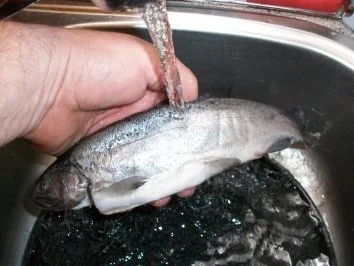 Regenbogenforelle gebraten mit Kartoffeln und Möhrengemüse - Rezept - Bild Nr. 2