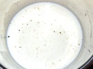 Rezept: Tonkabohnen-Creme mit marinierten Cranberries Bild Nr. 4 Tonkabohnen-Creme mit marinierten Cranberries - Rezept - Bild Nr. 4