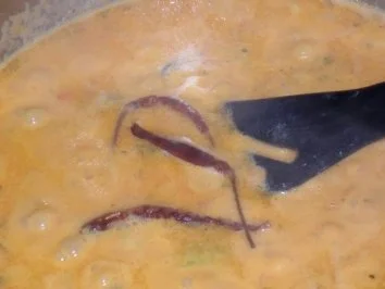 Rezept: Penne Riagte mit sahniger Paprika-Thunfisch-Sauce; hot Bild Nr. 12 Penne Riagte mit sahniger Paprika-Thunfisch-Sauce; hot - Rezept - Bild Nr. 12