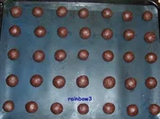 Süßes: Kakao-Kokos-Kugeln - Rezept