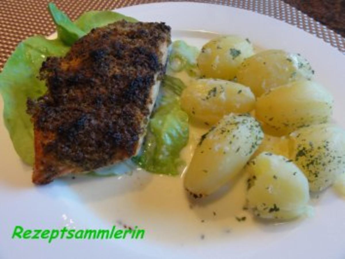 Fisch: LACHSFILET mit Kräuterkruste - Rezept Durch Rezeptsammlerin