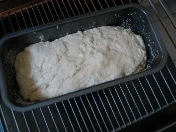 Brot + Brötchen:  Toskanisches Kräuterbrot "Toscaninchen" - Rezept - Bild Nr. 4