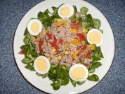 Rezept: Thunfischsalat im grรผnen Bett Thunfischsalat im grรผnen Bett - Rezept