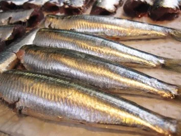 Rezept: Sardinen ... Bild Nr. 4 Sardinen ... - Rezept - Bild Nr. 4