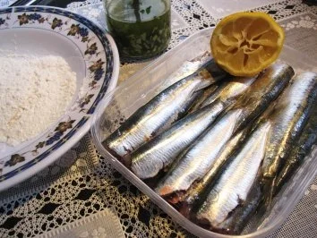 Rezept: Sardinen ... Bild Nr. 5 Sardinen ... - Rezept - Bild Nr. 5