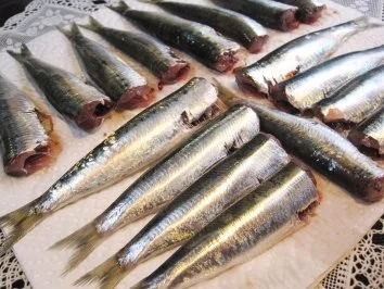 Rezept: Sardinen ... Sardinen ... - Rezept